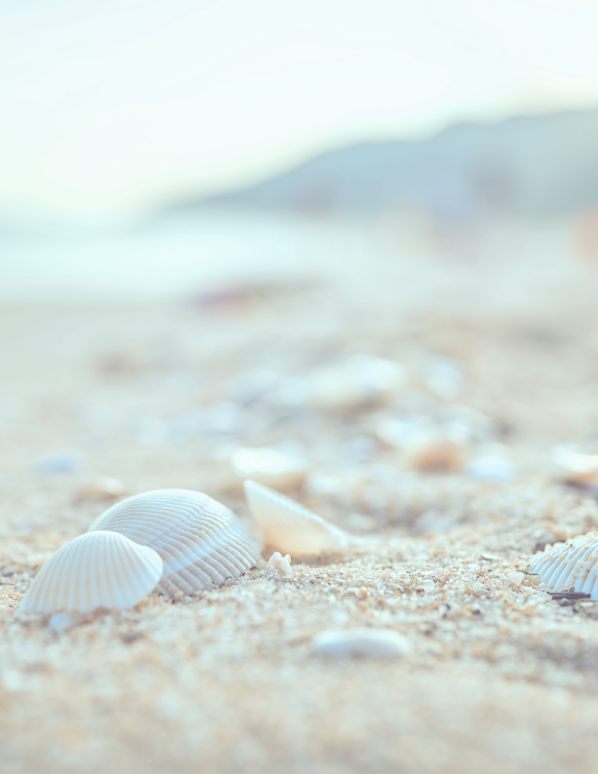 Say Less, Mean More Boundary-Setting Workbook Final Cover 2026